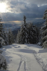 Fototapeta na wymiar zimowe widoki niskich Tatr na Słowacji