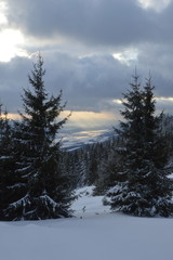Fototapeta na wymiar zimowe widoki niskich Tatr na Słowacji