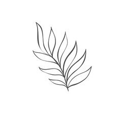 Hand drawn plant branches. Greenery design elements. Botanical logos.