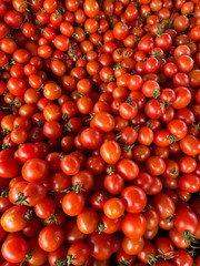 Small, red tomatoes for sale