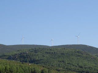 Green energy- wind turbines at a wind farm
