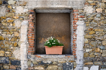 Daisies in a pot on a windowsill in a stone wall niche