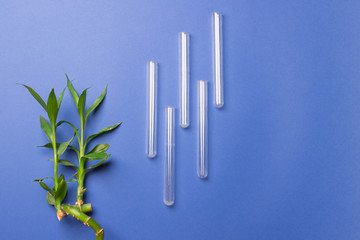 five test tubes and bamboo lying on blue background with copy space