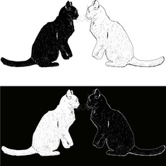isolated on white and black furry cats illustration