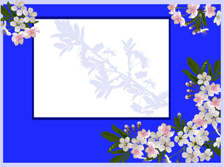 spring tree blossoms in bright blue frame