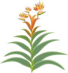 green flowery orange plant