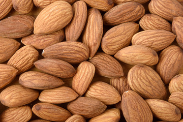 A mixture of ripe hazelnuts for background. View from above