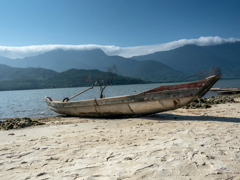 Growing oyster on car tires over poles in Vietnam