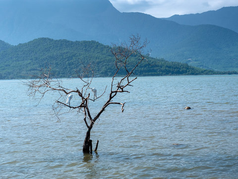Landscape in Vietnam with mountains, sea, sun and traditional attributes