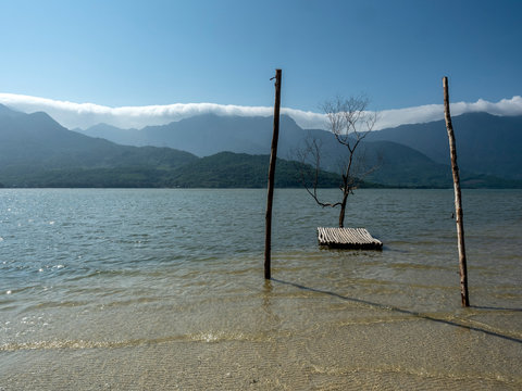 Growing oyster on car tires over poles in Vietnam
