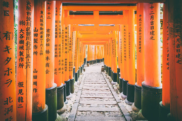Torii gates in Fushimi Inari, Kyoto, Japan