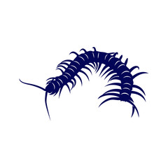 Centipede logo vector design template, Silhouette Centipede logo animal, Illustration