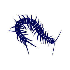 Centipede logo vector design template, Silhouette Centipede logo animal, Illustration