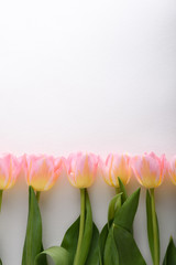 flower arrangement of pink tulips on white background