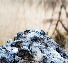 Pile of burnt wood ash