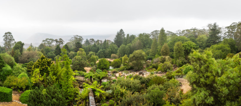 Landscape Panorama at the iconic Mount Tomah Botanical Garden after rain in Blue Mountains National Park, New South Wales, Australia.