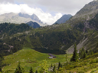 rilassante immagine delle verdi vallate dolomitiche in italia, in estate