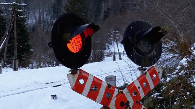 Red Flashing Traffic Light at a Railway Crossing in a Forest in Winter. Train Passing By