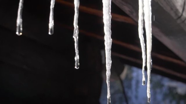 Icicles melting outside a house.