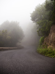 Lonely mountain road covered with fog