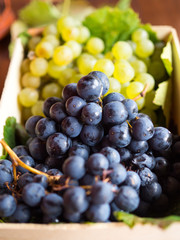 Wooden box with a bunch of black grapes and a bunch of green grapes