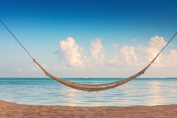 Empty hammock under tall palm trees on tropical beach