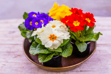 Decoration with spring flowers. Happy Easter.