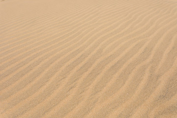 Fototapeta na wymiar Sand dunes, natural background, yellow desert texture