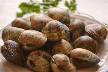 clams very fresh for cooking