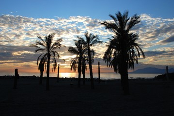 Beach with palm trees silhouetted at sunset, Puerto Cabopino, Spain.