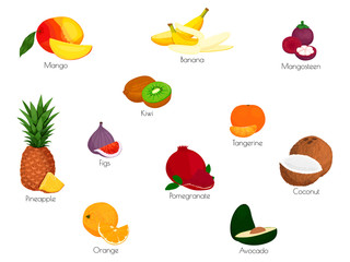 Fruits in flat style. 