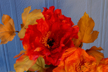Bright large red orange and yellow flowers
