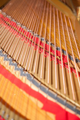 strings inside piano