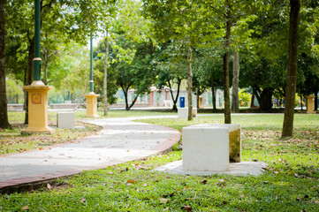 Green city park with benches in a tropical country,