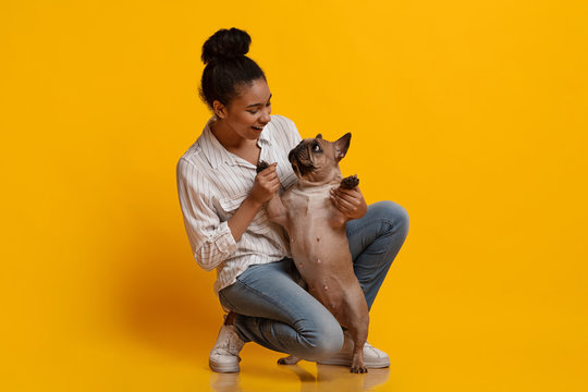Young woman playing with her cute funny dog in studio