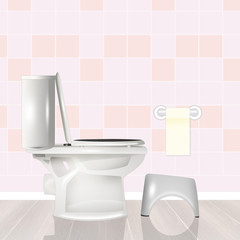 illustration of toilet and squatty potty
