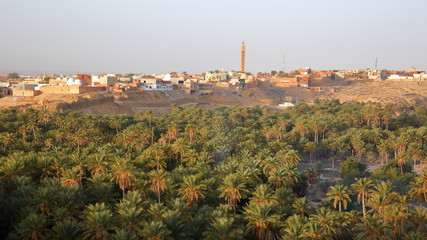 Obraz premium General view of the city of Nefta, Tunisia, with a palm grove in the foreground