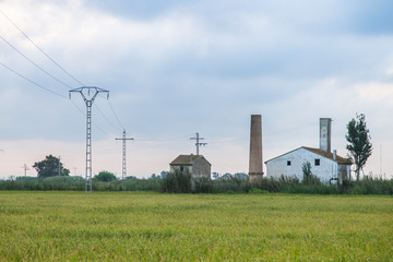 house in the middle of the rice fields of the natural park of the lagoon