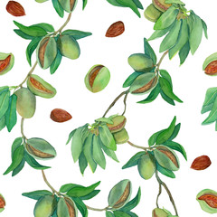 Watercolor almond branches pattern on white background. Hand drawn watercolor illustration. Design for covers, packaging, textile and wallpepers, raster.