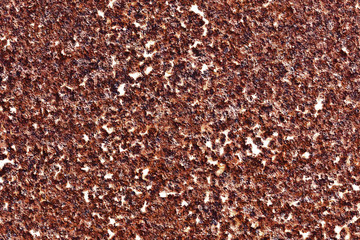 Rusty metal texture. Grunge corrosion background. Damaged iron pattern.