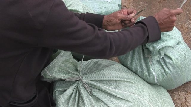  Volunteers closing filled with sand bags with string; Sand is used to build a sandbag dike for flood protection
