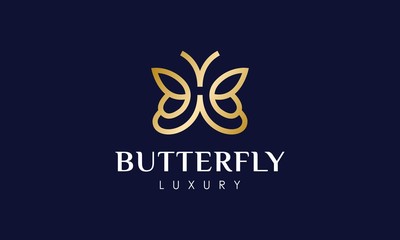 luxury butterfly illustration logo design