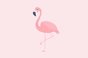 Vector Isolated Illustration of a Pink Flamingo 