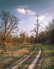 Obraz premium Spring landscape