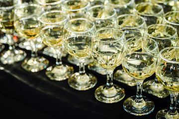 White wine glasses in a row. Catering service.