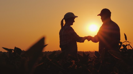 Fototapeta na wymiar Handshake men and women farmers. On the field at sunset