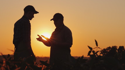 A farmer extends his hand for a handshake to a young worker. Standing on a field at sunset -...