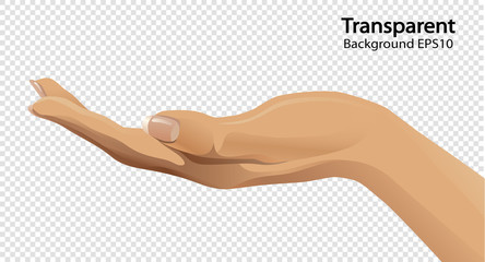 Human open hand on transparent background vector illustration. 