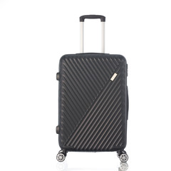 Trolley Case
