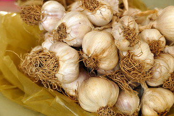 dry garlic, stems and roots, and a large amount of garlic,